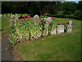 Poppies and Graves at St. Michael & All Angels Church (Castle Frome) in HR8 1HG