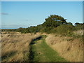 Public Footpath near St Osyth in CO16 8EZ