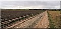 Track towards Roxby Causeway on Roxby Carrs in DN15 9QZ