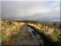 Very wet track in Irfon Forest in Llanafanfawr Community