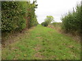 Grass track and footpath following edge of woodland in HP17 8SX