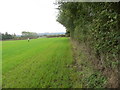 Field edge beside railway in HP27 9SW