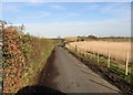 Looking NE along Hollybush Lane in CT3 1RQ