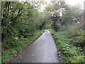 Tree-lined minor road near to Great Oak Farm in LU7 0LJ