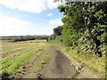Field track to Low Stanley in DH9 6SL