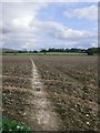 Footpath across farmland towards Northease in Iford