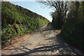 Lane to Sherford in TQ7 2BD