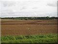 Prepared field near Harlaxton Lower Lodge in NG31 7XH