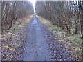 Old railway by Threepwood Moss in Netherburn