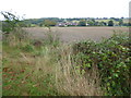 View from St Giles Churchyard, Great Maplestead in Great Maplestead