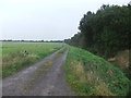 Track by Epworth Turbary Nature Reserve in DN9 1EA