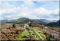 Summit area of Moel Smytho in LL54 7AJ