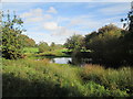 Pond near Flower of May farm in YO61 4PY