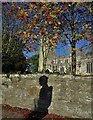 The shadow of a soldier in East Drayton in East Drayton