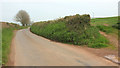 Lane to Tristford Cross in TQ9 7SP