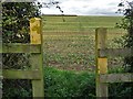 Path over farmland to Main Street in DN22 0FR