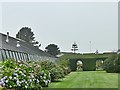 Lawn and topiary hedging beside the glasshouse in DD2 1UR