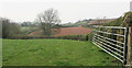 Field near Gill's Cross in TQ9 7SD