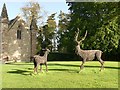 Wicker deer sculptures on Moot Hill in PH2 6BD