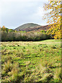 Rough grazing south of Luss in G83 8TU