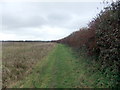 Field boundary footpath in LN7 6SW