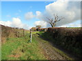 Llwybr uwchben Llwyn Gwyn / Path above Llwyn Gwyn in SA32 7YN