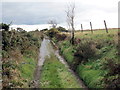 Heol las dan ddwr / A flooded green road in SA32 7PX