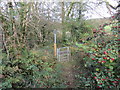 Llwybr ger Clynmelyn / Path near Clynmelyn in SA32 7JJ