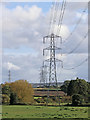 Electricity pylons near Trescott in Staffordshire in WV6 7EY