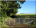 Gated farm track off Highfield Road in GL15 4LL