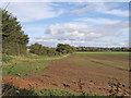 Crop field north-west of Trescott in Staffordshire in WV6 7EY