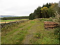 Track between Ordmore Wood and arable fields in AB34 5AJ