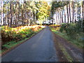 Tree-lined minor road near the Old Mill of Hirn in AB31 5QS