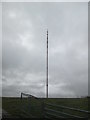 Radio  mast  on  Lindean  Moor in TD7 4QN