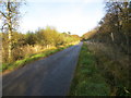 Minor road beside Forest of Drum in AB31 5ES