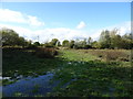 Boggy ground beside National Cycle Route 45 in GL2 5HG