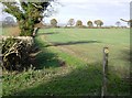 Fields north of Wyck Farm in GU34 3AL
