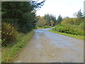 Track leaving the A944 road to enter Corrennie Forest in AB51 7SB