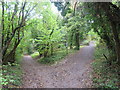 Paths through woodland, near Godstone in CR3 6EG