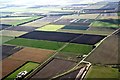 Crop marks on field near Ghant Farm SW of Manea: aerial 2019 (2) in Chatteris North & Manea Ward