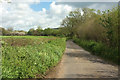 Lane to Hardington Marsh in BA22 9QE