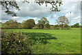 Farmland near Hardington Marsh in BA22 9QE