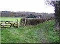 Footpath to Bentley station in GU10 5JB