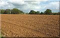 Ploughed field by Pendomer House in BA22 9NR