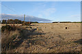 Bales near Drumdurno in AB51 5HF