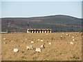 Temple of bales in AB32 6XA