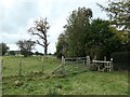 Public footpath stile with dog gate, at Aimbank in CA4 9AS