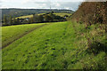 Grassy field above Dawlish in EX7 0QY