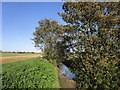The Car Dyke near Haconby in Haconby