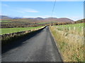 Fence and wall enclosed road between Auchmull and Haughend in DD9 7YG